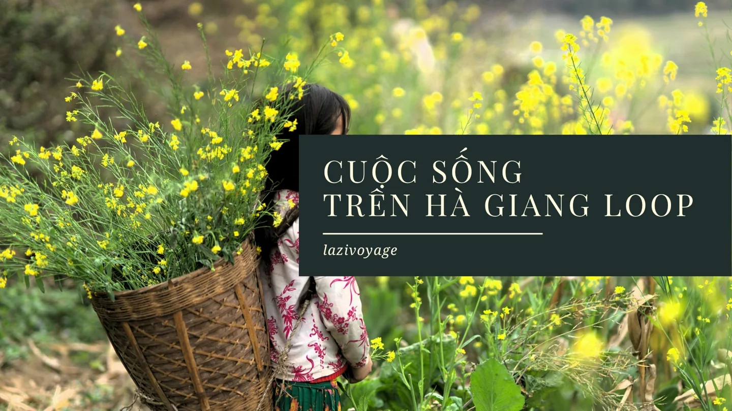 Ha-giang-loop