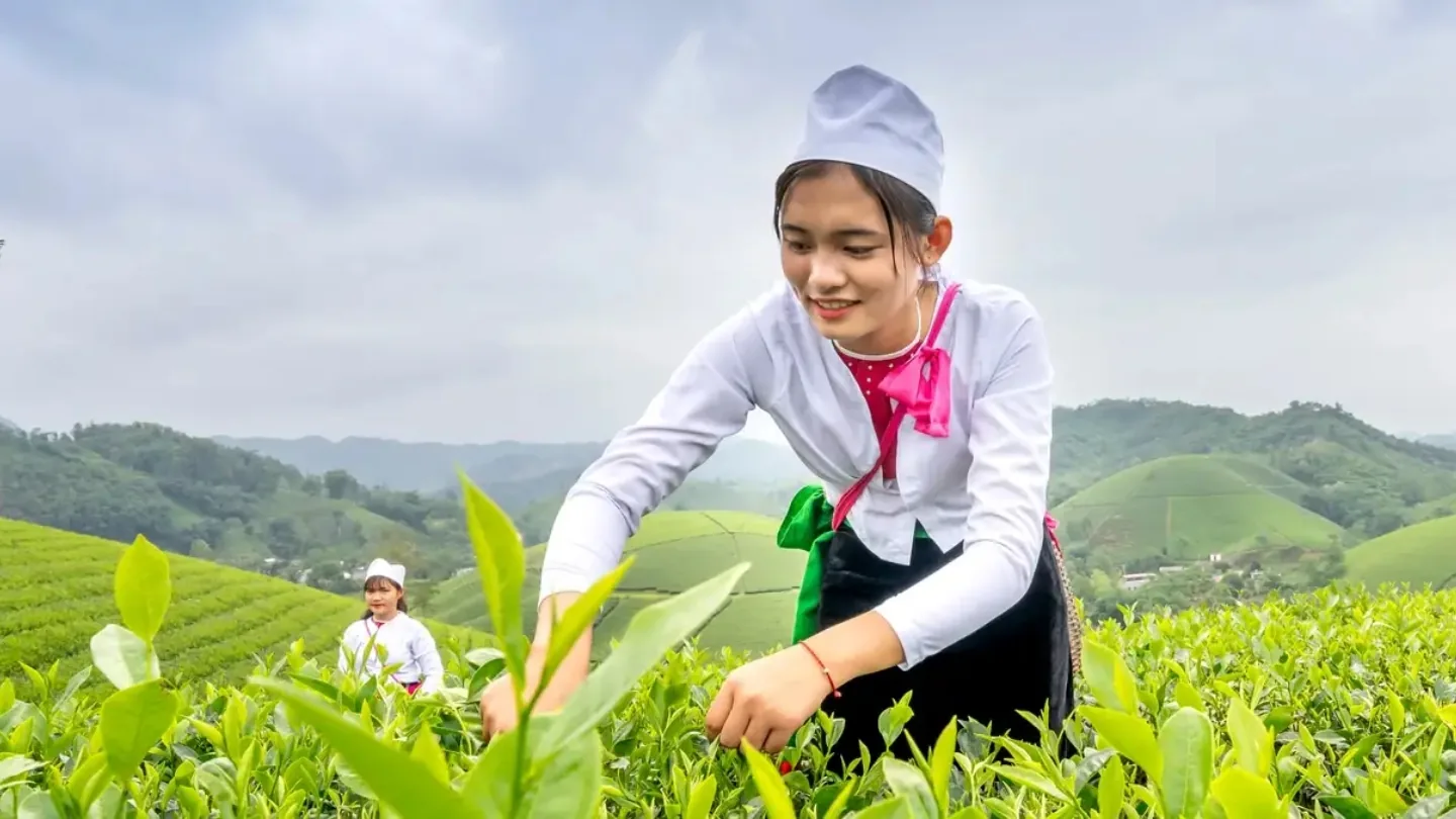 Tour du lịch Long Cốc
