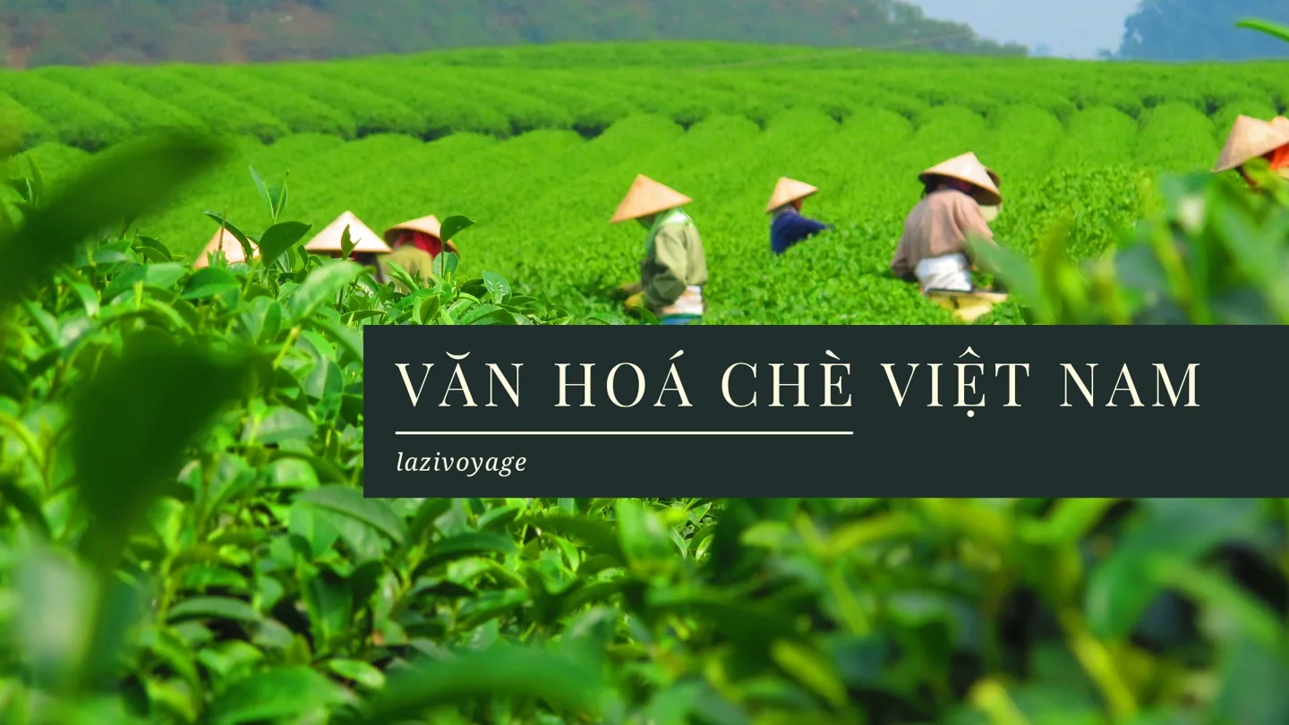 Van-hoa-che-viet-nam